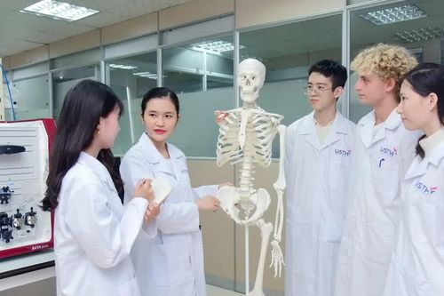 Đưa hợp tác giáo dục Việt - Pháp vào những lĩnh vực chiến lược