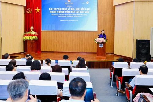 Triển khai tích hợp nội dung bình đẳng giới trong chương trình đào tạo giáo viên