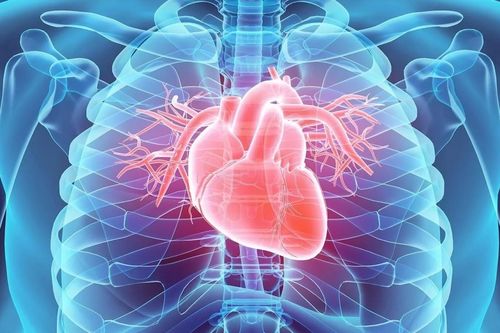 Liệu pháp điều trị suy tim từ quả lựu