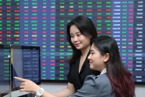 Bước vào chứng khoán, nhà đầu tư mới cần tránh điều gì để không trở thành 'người bỏ cuộc'?