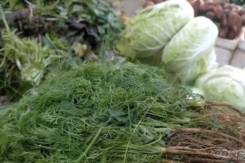 Nhiều loại rau ở Hà Nội tăng giá gấp 3-4 lần, đắt ngang giá thịt bò