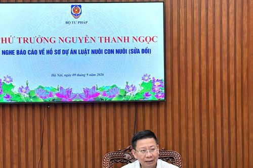 Nghiên cứu cơ chế thù lao theo vụ việc cho người làm công tác xã hội trong lĩnh vực nuôi con nuôi