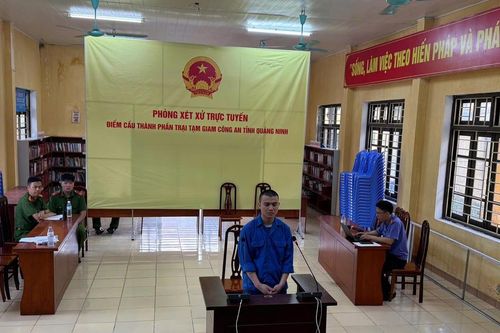 Dùng 'nước kẹo' sản xuất giá đỗ,