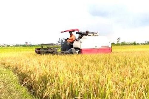 Sửa đổi một số quy định về bảo hiểm nông nghiệp