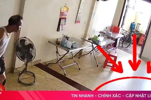 Tá hỏa khi kỳ đà hoa nặng 6kg chạy vào nhà
