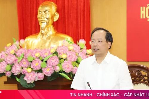 Ban Thường vụ Tỉnh ủy, Ban Chấp hành Đảng bộ tỉnh cho ý kiến nhiều nội dung quan trọng