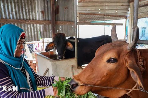 Tây Ninh: Chính sách thiết thực, tiếp sức đồng bào dân tộc thiểu số vươn lên