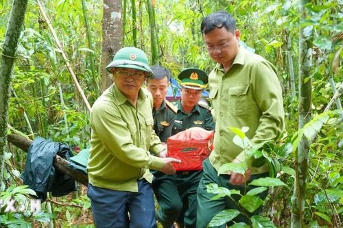 Lào Cai đẩy nhanh tiến độ tìm kiếm, quy tập hài cốt liệt sỹ tại các khu vực trọng điểm