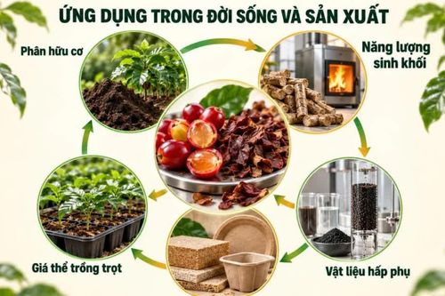 TP Hồ Chí Minh: Tận dụng phụ phẩm cà phê để tạo giá trị gia tăng