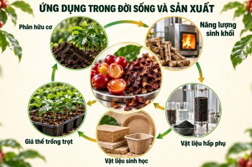 TP Hồ Chí Minh: Tận dụng phụ phẩm cà phê để tạo giá trị gia tăng