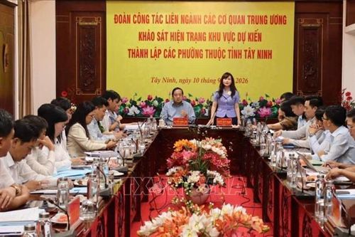 Thành lập phường gắn với định hướng phát triển lâu dài, phát huy lợi thế từng địa bàn