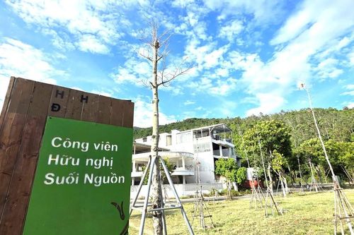 Nhiều cây xanh chết khô tại công viên trên tuyến đường lên bán đảo Sơn Trà
