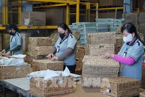 Lục bình, cây cói và câu chuyện hàng Việt đi xa