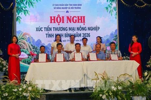 Xúc tiến thương mại mở thêm dư địa cho nông sản Ninh Bình