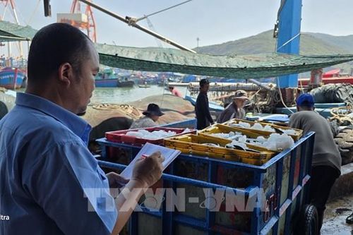 Khắc phục 'thẻ vàng' IUU: Siết chặt quản lý, giám sát chặt hành trình tàu cá
