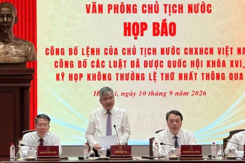 Hòa giải cơ sở: Người dễ bị tổn thương được quyền đề nghị hỗ trợ, bảo vệ