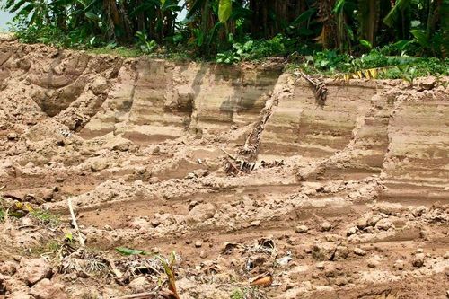 Vụ hàng trăm khối đất ruộng bị đào ở Hưng Yên: Không khởi tố vụ án