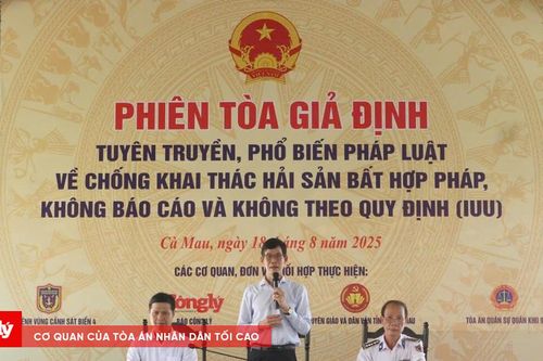 Đưa pháp luật đến gần ngư dân bằng phiên tòa giả định