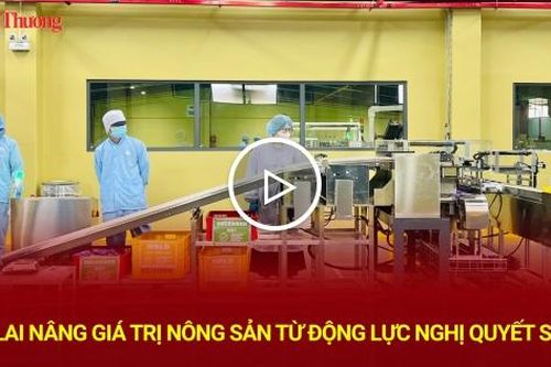 Gia Lai nâng giá trị nông sản từ động lực Nghị quyết số 57