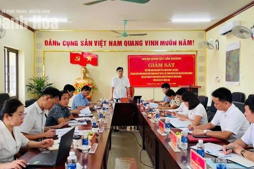 Giám sát tích tụ, tập trung đất đai phát triển nông nghiệp tại xã Tượng Lĩnh