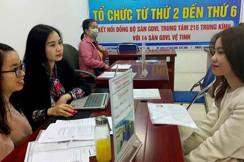 Doanh nghiệp gia tăng tuyển dụng nhân sự mới vào nghề