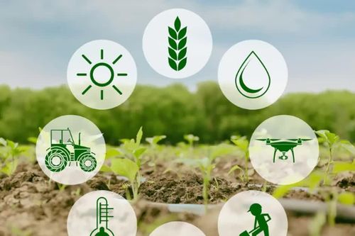 Tăng mức hỗ trợ phí bảo hiểm nông nghiệp tới 95%