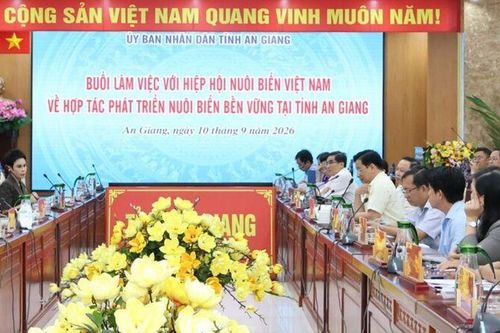 An Giang thúc đẩy nuôi biển công nghệ cao, hướng đến phát triển bền vững
