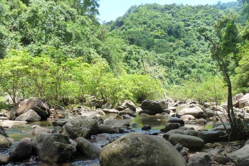 Bắc Ninh: Hơn 153 tỷ đồng thực hiện Phương án quản lý rừng bền vững Khu bảo tồn Tây Yên Tử