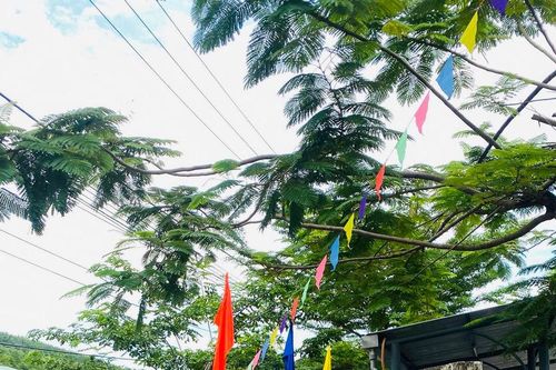 Góp sức vì cổng trường bình yên