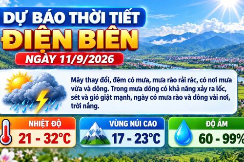 Bản tin Dự báo thời tiết ngày 11/9/2026
