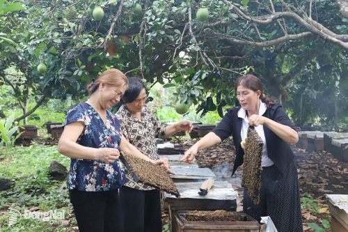 Phường Hàng Gòn: Chuyển đổi sản xuất, phát triển nông nghiệp hiện đại