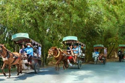 Đồng Tháp tăng cường quản lý hoạt động du lịch