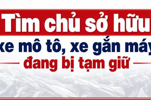 Gia Lai: Tìm chủ sở hữu 401 xe mô tô, xe gắn máy đang bị tạm giữ