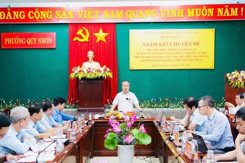 Đoàn đại biểu Quốc hội tỉnh giám sát việc quản lý, sử dụng tài sản công tại phường Quy Nhơn