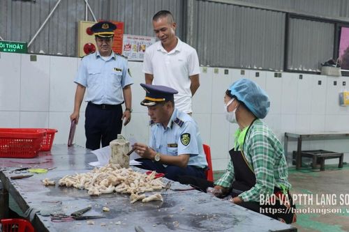 Kiểm tra việc chấp hành quy định pháp luật về an toàn thực phẩm tại cơ sở sơ chế chân gà
