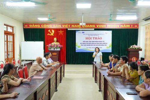 Trang bị kiến thức sản xuất an toàn, truy xuất nguồn gốc cho các HTX