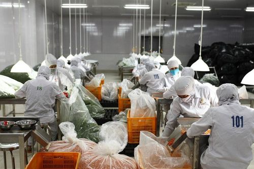 Lâm Đồng thúc đẩy xuất khẩu sang thị trường Trung Quốc