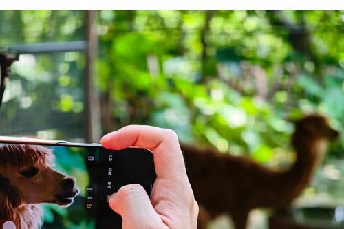HONOR Magic 9 Pro Max sở hữu camera kép 200MP chuẩn ARRI cùng khả năng siêu zoom tới 1000mm
