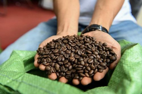 Giá cà phê hôm nay 10/9: Đồng loạt tăng, robusta cao nhất 1 tuần do lo ngại thời tiết tại Việt Nam