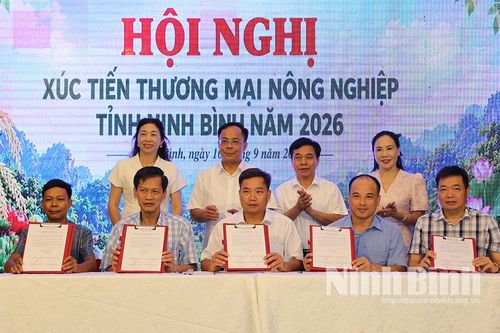 Tăng cường xúc tiến thương mại, mở rộng thị trường tiêu thụ nông sản