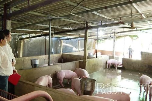 Từ nguồn lực quốc gia đến sức bật vùng quê Chí Tiên