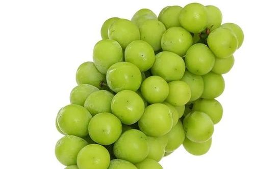 Giá cả thị trường ngày 10/9/2026