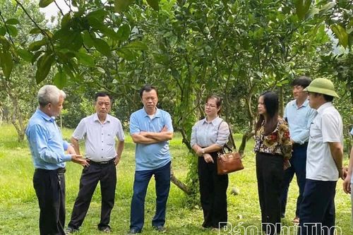 Nâng cao hiệu quả quản lý mã số vùng trồng