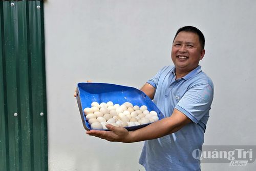 Biến phế phụ phẩm nông nghiệp thành 'tài nguyên'