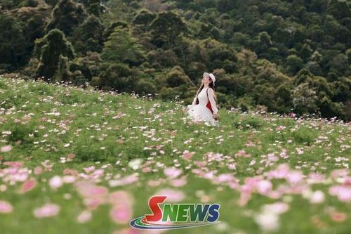 Sắc thu trên cao nguyên Mộc Châu