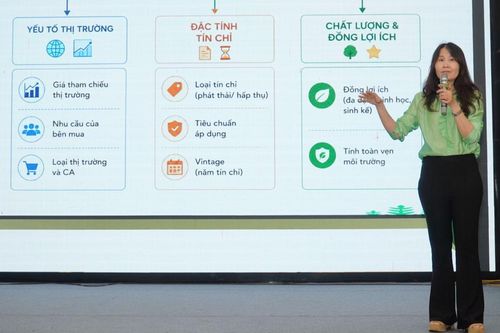 Thái Nguyên chủ động tiếp cận thị trường các-bon rừng