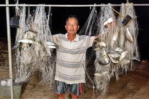Một mô hình, nhiều hộ cùng làm