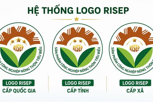 Số hóa bình chọn RISEP: Những bước đi đầu tiên