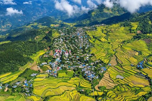 Ruộng bậc thang Tả Lèng khoe sắc vàng giữa núi rừng Lai Châu