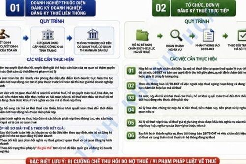Hướng dẫn doanh nghiệp giải thể, chấm dứt hoạt động khi bị thu hồi giấy chứng nhận